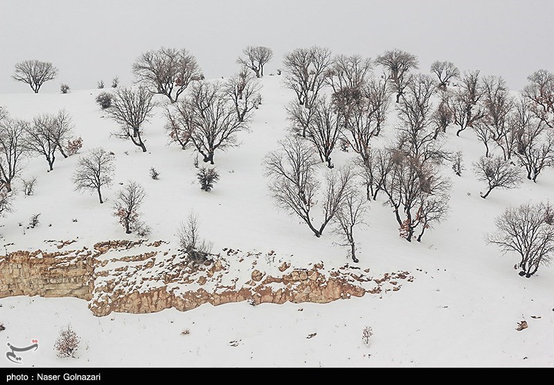 پیش‌بینی بارش 40 سانتی‌متر برف در استان گلستان/ مردم از سفرهای غیرضروری خودداری کنند