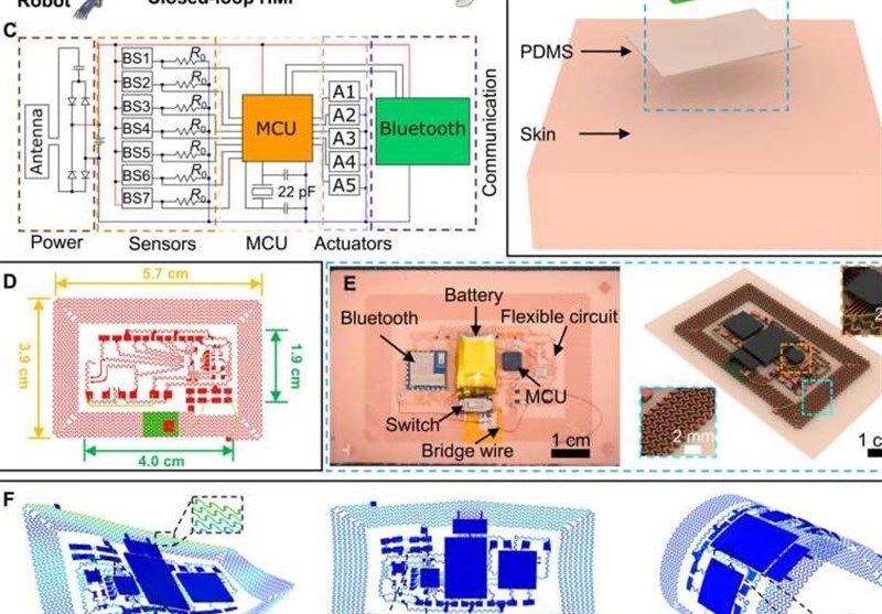 Chinese Scientists Develop Electronic Skin with Haptic Feedback