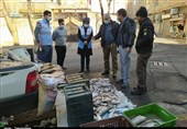 600 کیلو ماهی فاقد هویت از خودروهای حامل و فروش ماهی در ری کشف شد + تصاویر