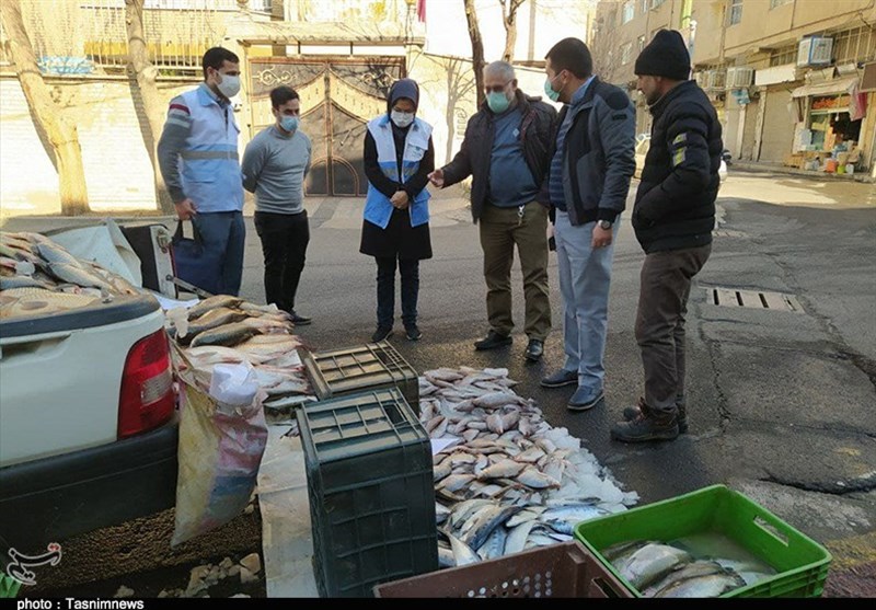 600 کیلو ماهی فاقد هویت از خودروهای حامل و فروش ماهی در ری کشف شد + تصاویر