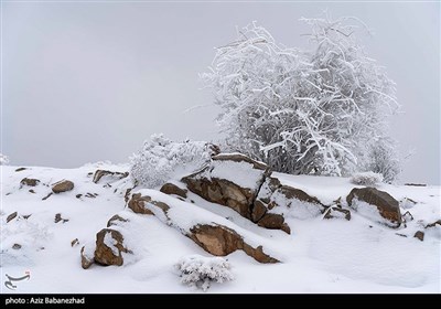 بارش برف در شهرستان دلفان و خرم آباد