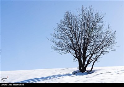 بارش برف در شهرستان دلفان و خرم آباد
