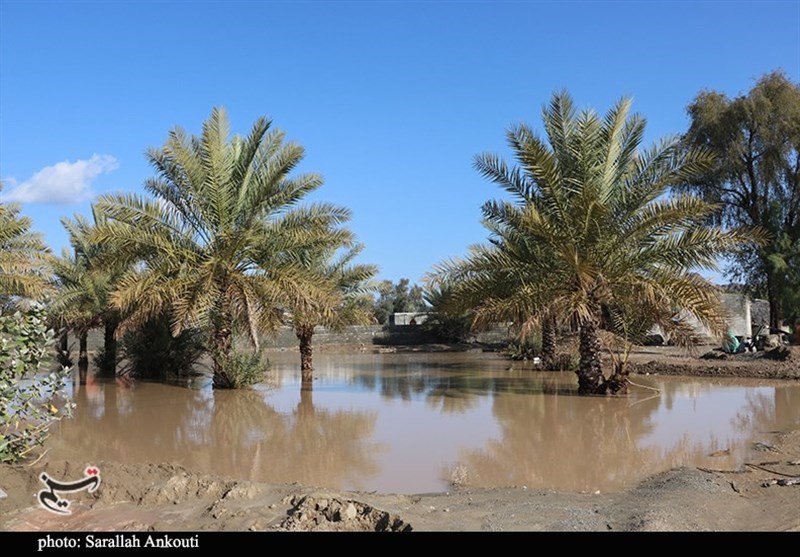 استان کرمان , سیل , سیل زده , 