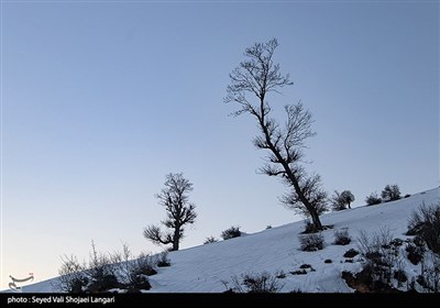 طبیعت برفی ارتفاعات مازندران 
