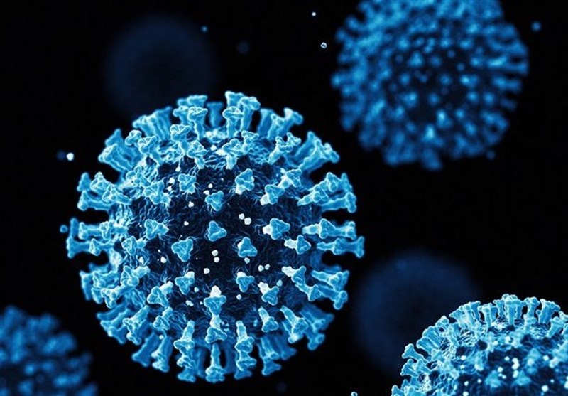 New Strain of Coronavirus Discovered in South Africa Has Latent Ability to Mutate