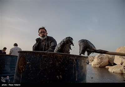 آلودگی نفتی جزیره خارگ‎