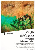 حاصل 15 سال سفرهای محمود کلاری در نمایشگاه &quot;روی دیوار&quot;