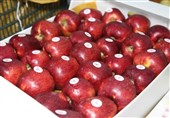 150 هزار تن سیب آذربایجان‌غربی قابلیت صادرات دارد