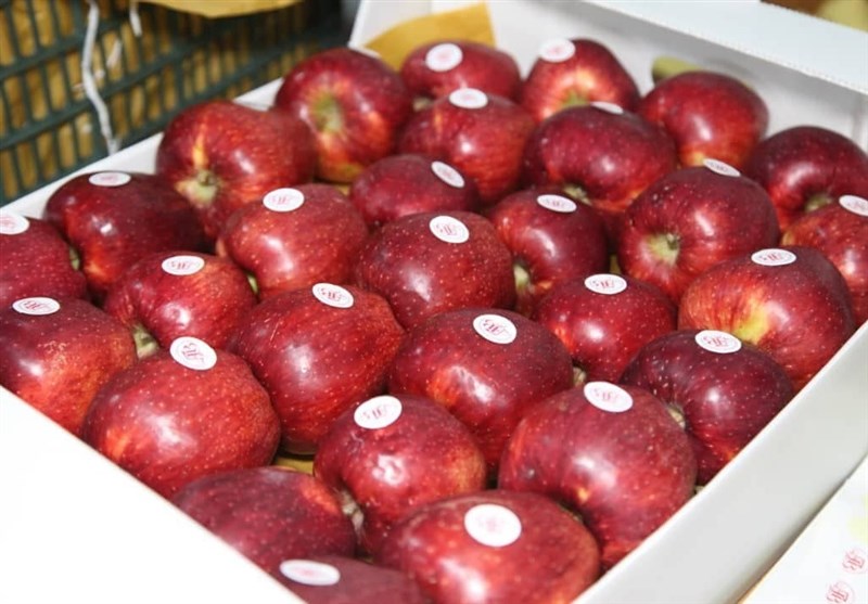 225 هزار تن سیب درختی از گمرکات آذربایجان‌غربی صادر شد