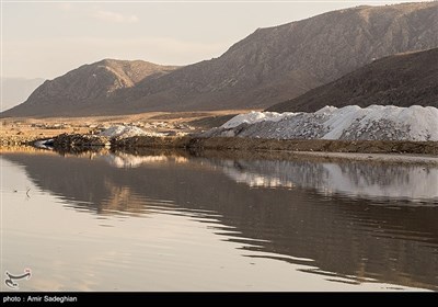 با توجه به بارندگی های اخیر در اقلیم این استان بخشی از آن از وضعیت خشک خارج و آبگیری شد.