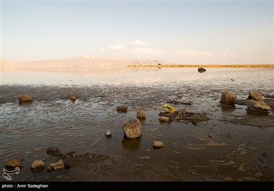 با توجه به بارندگی های اخیر در اقلیم این استان بخشی از آن از وضعیت خشک خارج و آبگیری شد.