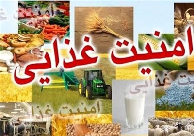  سند امنیت غذایی کشور رسما به شورای عالی انقلاب فرهنگی ارسال شد 