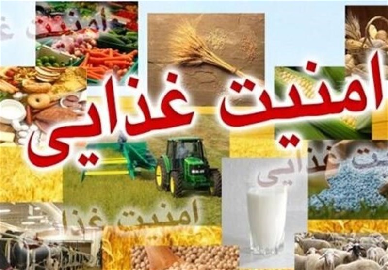 تشکیل کارگروه مشترک مجلس و مجمع تشخیص مصلحت نظام درباره طرح امنیت غذایی
