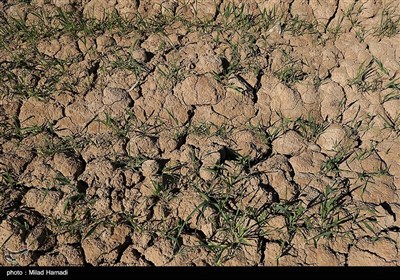 ایران زیر فشار بی آبی؛نجات از بحران با صرفه جویی 15 درصدی خانوار