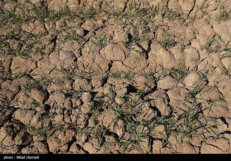 ایران زیر فشار بی آبی؛ نجات از بحران با صرفه جویی 15 درصدی خانوار