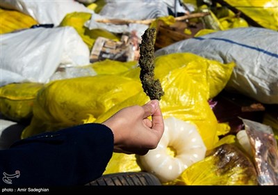 Iranian Police Destroys 18 Tons of Narcotics in City of Shiraz
