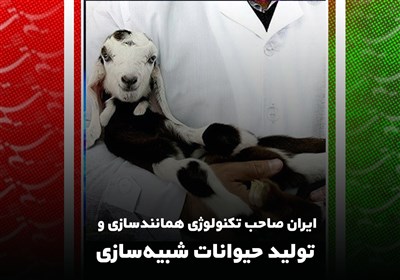 ایران صاحب تکنولوژی همانندسازی و تولید حیوانات شبیه‌سازی