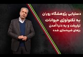 فیلم// ایران صاحب تکنولوژی همانندسازی و تولید حیوانات شبیه‌سازی‌شده