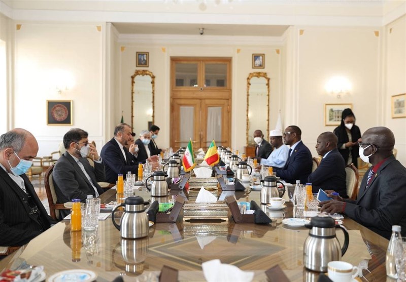Emirabdullahiyan Afrika&apos;nın 13. Hükkümet Dış Siyasetindeki Konumunu Açıkladı