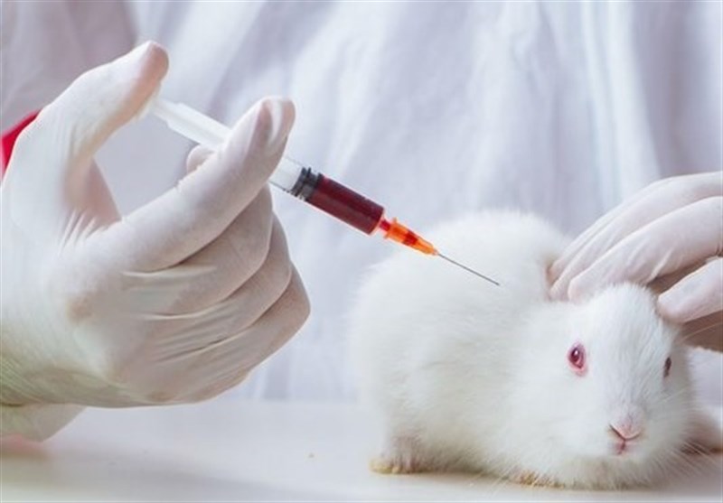 ممنوعیت آزمایش روی حیوانات در سوئیس رأی نیاورد