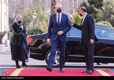 دیدار وزرای امور خارجه ایران و ایرلند
