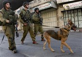 Israeli Soldiers Deliberately Release Military Dog to Maim Surrendering Palestinian Teenager (+Video)