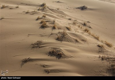 کویر ابوغویر - دهلران