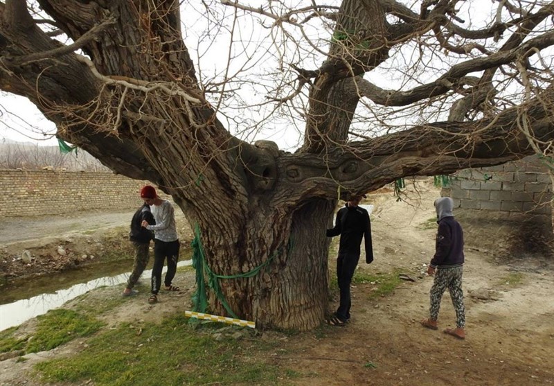 4اثر طبیعی استان مرکزی ثبت ملی شد