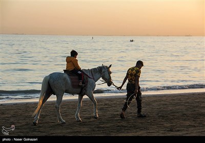 ساحل خلیج فارس / بندرعباس