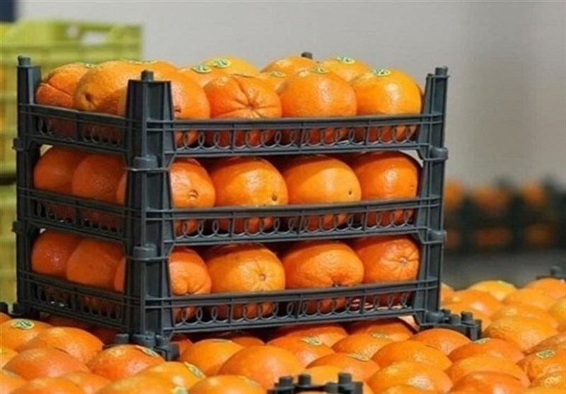 توزیع 70 هزار تن سیب و پرتقال تنظیم بازار آغاز شد
