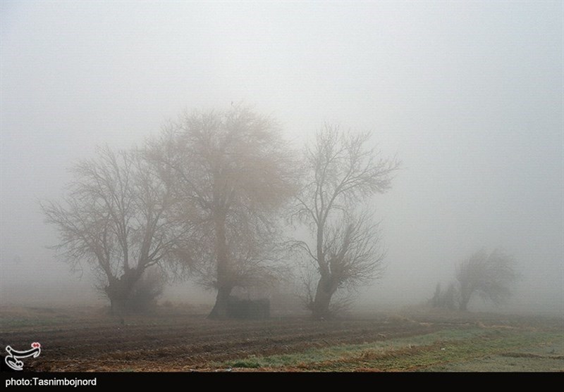 پیش‌بینی وقوع مه و کاهش شعاع دید در خوزستان