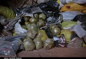 بیش از 2 تن مواد مخدر در عملیات مشترک پلیس فارس و البرز کشف شد