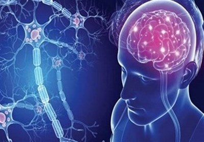 بيماري،اصفهان،انجمن،كشور،بيماران،نفر،شيوع،مبتلا،متذكر،علائم، ...