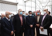 استاندار قزوین: مسئولان شرکت گاز گازرسانی به شهرک گلخانه‌ای نودهک را تکمیل کنند