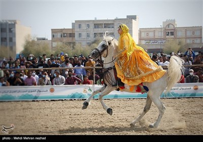 دومین فستیوال کشوری اسبان اصیل ایرانی - جم