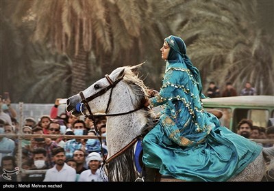 İranlı Asil Atlar Festivali- Buşehr