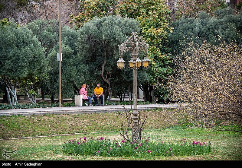 سرزمین مادری / باغ ارم شیراز 