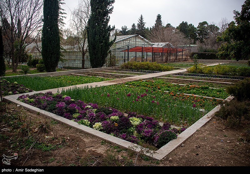 سرزمین مادری / باغ ارم شیراز 