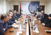 South-North Corridor Top Priority in Iran-Armenia Ties: Minister