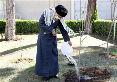  کاشت نهال توسط رهبر انقلاب به‌مناسبت روز درختکاری 