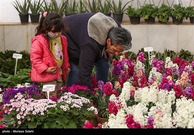 بازار گل و گیاه در آستانه نوروز - اصفهان