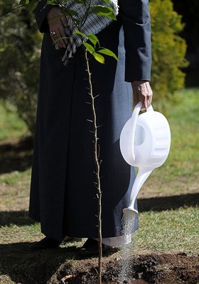 کاشت نهال توسط رهبرمعظم انقلاب به مناسبت روز درختکاری