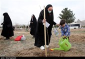 نماینده مردم تهران در مجلس: وزارت جهاد ‌برای کاشت یک میلیارد نهال ‌برنامه‌ریزی کرد‌