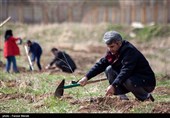 بوستان 50 هکتاری خانواده در جیرفت احداث می‌شود