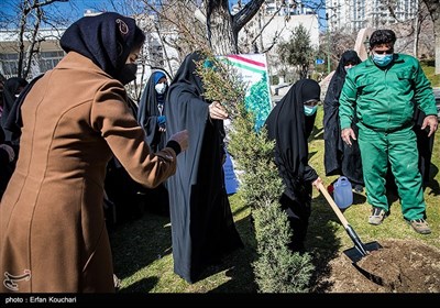 مراسم روز درختکاری با حضور همسران سفرا