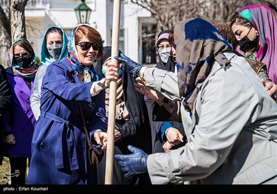 Wives of Foreign Envoys Attend Tree Planting Event in Tehran
