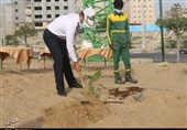 مراسم روز درختکاری در بندرعباس برگزار شد+تصویر