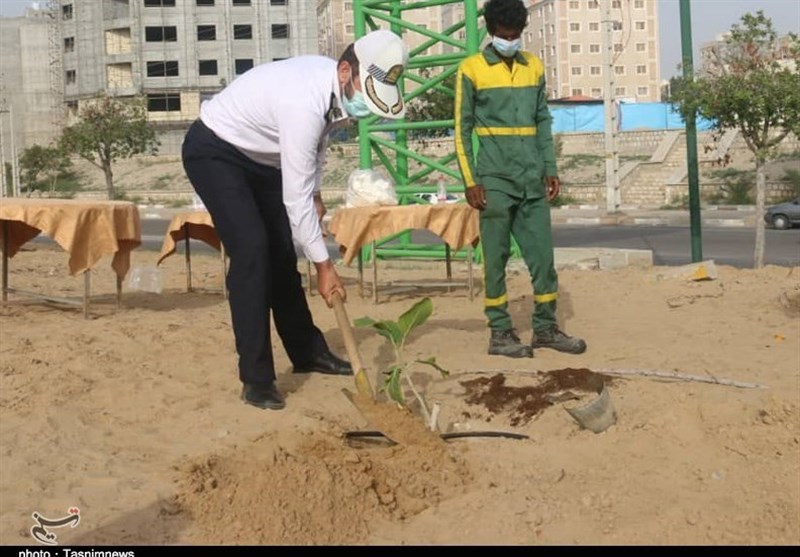 مراسم روز درختکاری در بندرعباس برگزار شد+تصویر