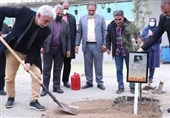 برگزاری مراسم روز درختکاری به یاد 5 شهید ورزشکار