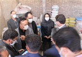 گزارشی از داستان پرفراز و نشیب یک کارآفرین جوان؛ ایده نوآورانه استفاده از سوسک برای غذای دام